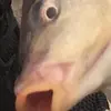 ellisthorne - @17__ellis - TikTok
