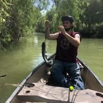 Ellis Weaver - @ellis.weaver.3 - Instagram