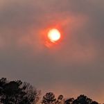 Melissa Ellsworth Hall - @melissa.e.hall.79 - Instagram