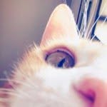 Elly Chang - @minielly689 - Instagram
