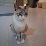 Elly Chang - @zhangfangweizhang - Instagram