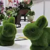Elly Chang - @31939027681 - TikTok