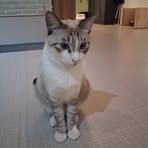 Elly Chang - Facebook