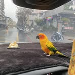 Elly Chen - Facebook