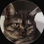 Elly - @ellychen2007 - Instagram