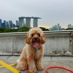 Elly Cookie - @elly_cookie - Instagram