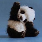 Elly Cooper - @crystalpanda1 - Instagram
