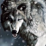 Elly Cooper - @wolf_f_a_n_g - Instagram