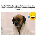 Elly David - Facebook