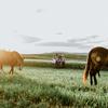 elly_farmer - @elly_farmer - TikTok