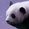 Elly🐼🐼 - @elly_garner - TikTok