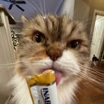 Ella Gilbert - Facebook