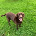 Kelly Goodman - @kellygoodman3 - Instagram
