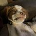 Elly Haley - Facebook