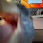 Elly Henderson - @ellerhender - Instagram