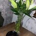 Elly Hunter - Facebook