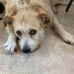 Elly Johnson - Facebook
