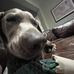 Elly Long - Facebook