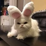 elly - @elly._mae - Instagram