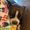 Elly Mae - @itz_baby_elly2019 - TikTok