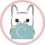 KC Dog & Pet Photographer - @ellymaymoments - Instagram