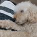 Elly Ng - Facebook