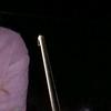 Elly Peterson - @ellypeterson6 - TikTok