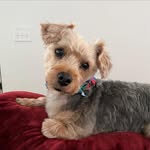 Kelly Skinner - @kelly.skinner.798 - Instagram