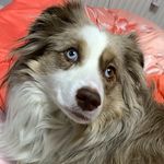 Elly Stone - @stoneelly - Instagram