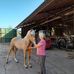 Elly Sturm - Facebook