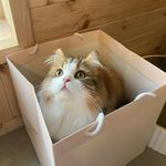Elly Suh - @hlllyh15 - Instagram