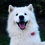 ELLY WILSON - @ellywilson48 - Instagram