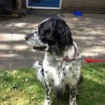 Elly Wolf - @ellywo1965 - Instagram