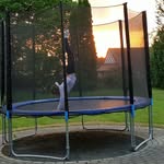 elly wolf - @elly6243 - Instagram