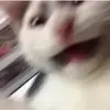 elly - @ellyyoung - TikTok