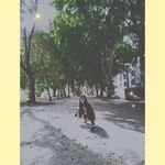 Ellyn_Lee - @thisellyna - Instagram