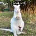 Ellyn Scholl Losse - Facebook