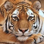 Ellyn Smith - @lovinmylifeagain - Instagram