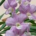 Elma Abel Bentic - Facebook