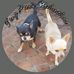 Ackerman Elmarie - Facebook