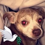 Elma Ballard - @ballardelma - Instagram