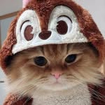 elmaballgjini - @elmaballgjini - Instagram