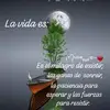 Elma Barrera - @elma.barrera40 - TikTok