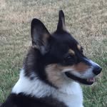 Velma Barton - @velmabarton5225 - Instagram