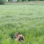 Elmar Baumhauer - @elmarbaumhauer - Instagram