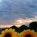Elma Becker - Facebook