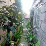 Inocencio Elma Bernard - @bernard.inocencio.5 - Instagram
