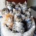 Alma Howell - Facebook