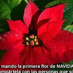 Elma Meraz - @elma.meraz - Instagram