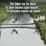 elma muñoz - @elma_munoz - Instagram